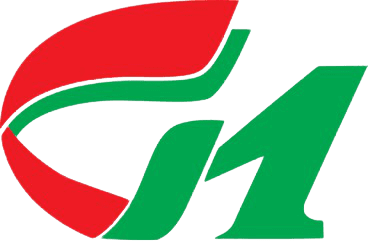 g1